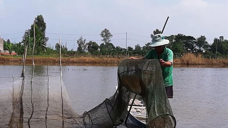 ĐBSCL: Nước lũ về nhưng thủy sản còn ít 