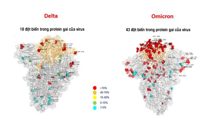 Hình ảnh so sánh lượng đột biến giữa Delta và Omicron. Ảnh: Ansa