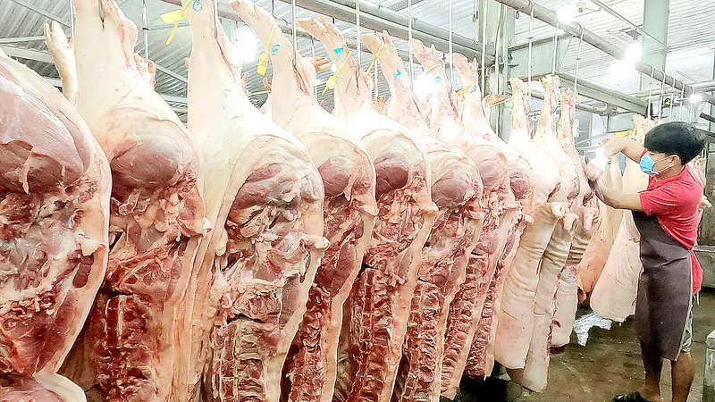 Kinh doanh thịt heo tại chợ Bình Điền. Ảnh: ĐÌNH DƯ