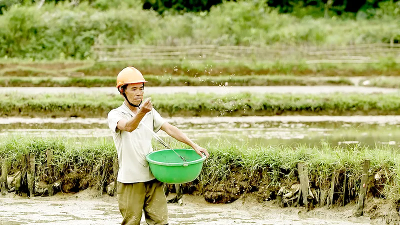 Miền Trung: Bám đồng cứu vụ đông xuân