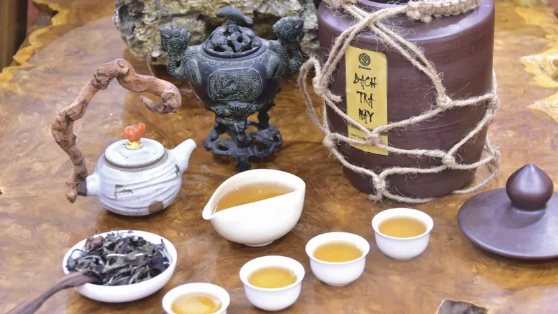 Tản mạn chuyện mây trà ngày xuân