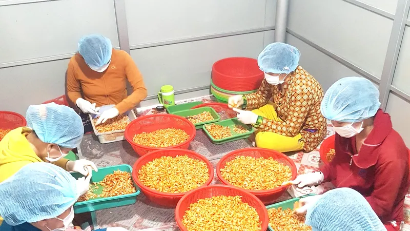 Chế biến tôm khô phục vụ thị trường tết. Ảnh: TẤN THÁI