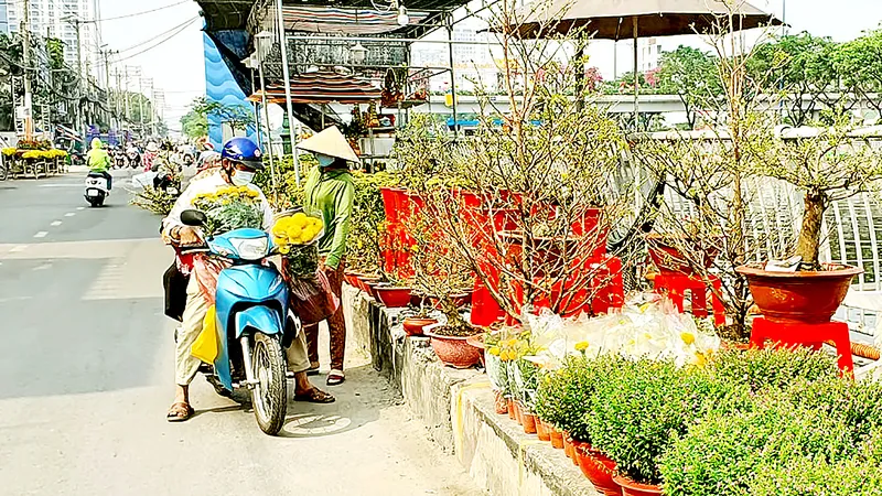 Đường phố ngập tràn sắc màu ngày tết