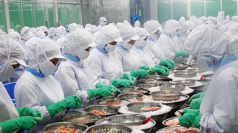 Chế biến thủy sản xuất khẩu sang Nga và EU tại một doanh nghiệp