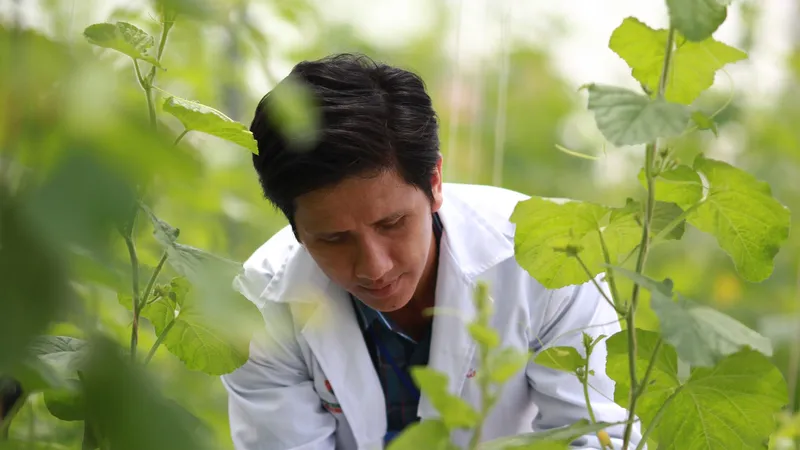 Trung tâm Công nghệ sinh học TPHCM nghiên cứu, lai tạo giống cây nhằm phát triển ngành nông nghiệp thành phố