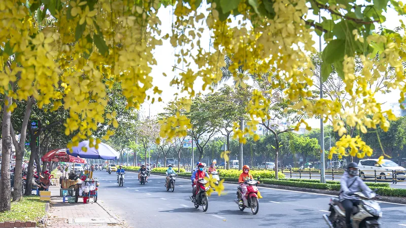 Những vạt nắng tháng tư