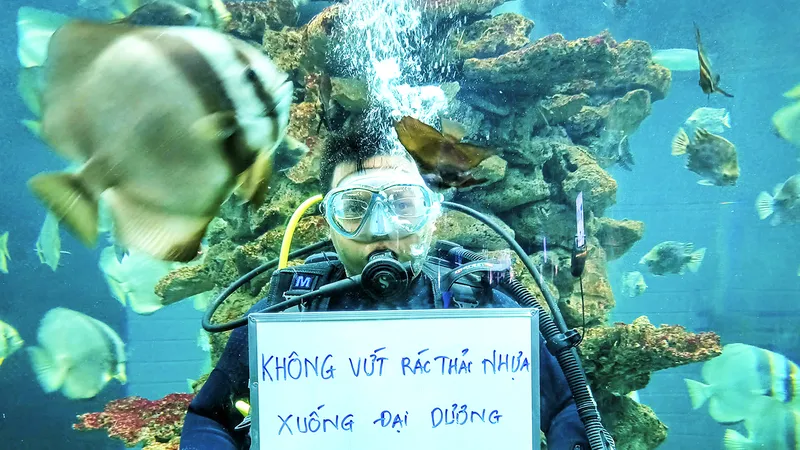 Chung tay vì một đại dương xanh