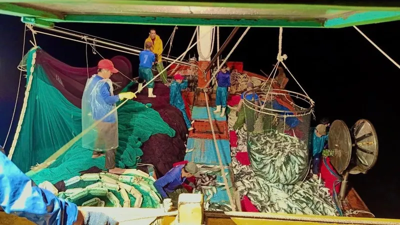 Tuyên dương người trúng 250 tấn cá