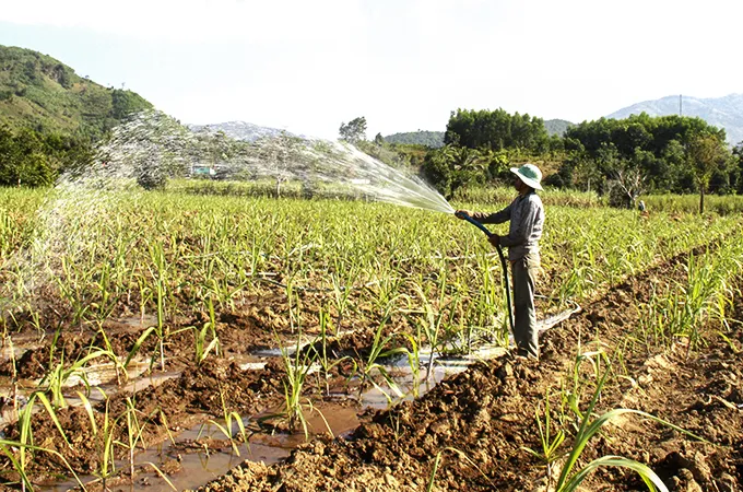 Năm 2030, tổng nhu cầu nước vào mùa khô tăng 32%