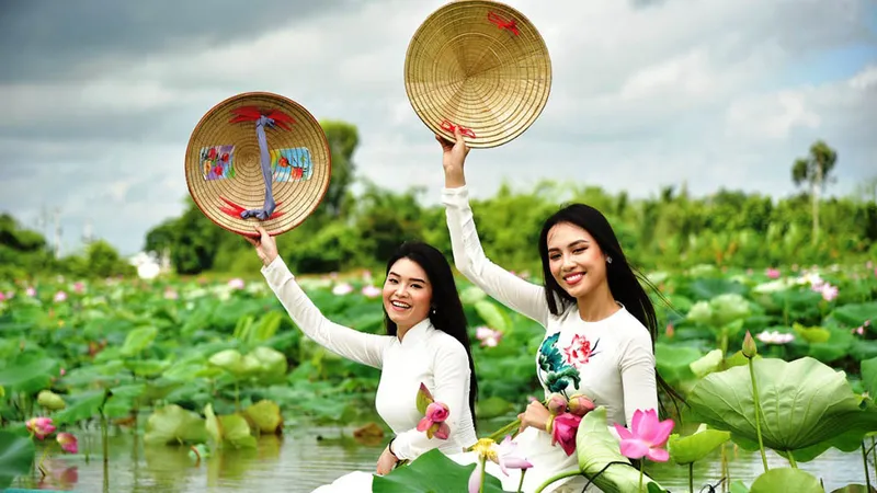 Cánh đồng sen tuyệt đẹp ở Đồng Tháp