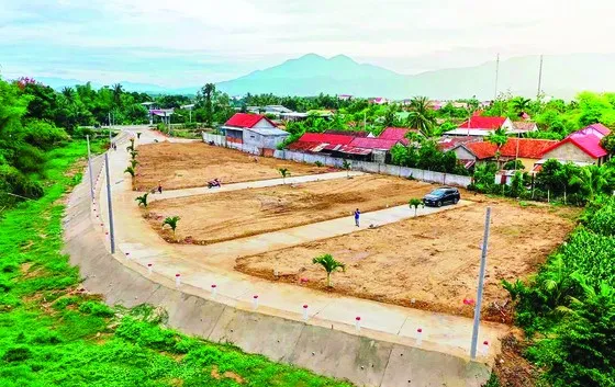 Xử lý nghiêm các trường hợp phân lô bán nền trái phép