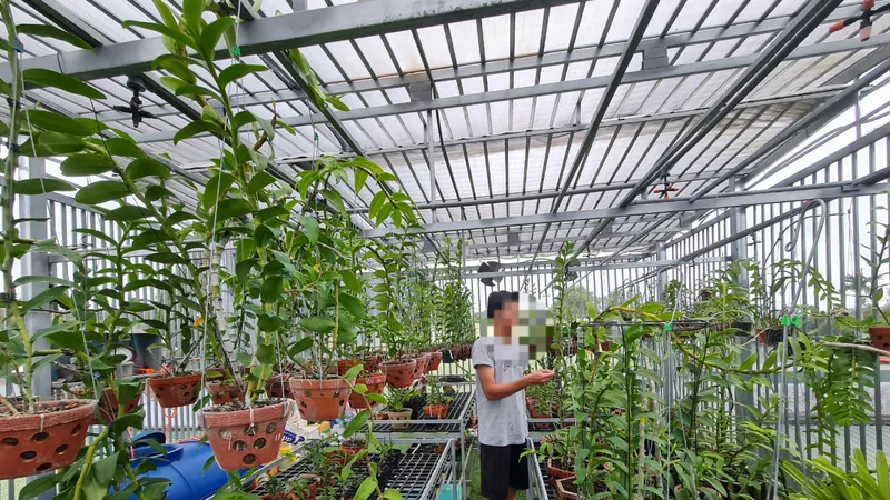 Một vườn lan var ở TP Buôn Ma Thuột từng được đầu tư hàng tỷ đồng nhưng hiện không bán được