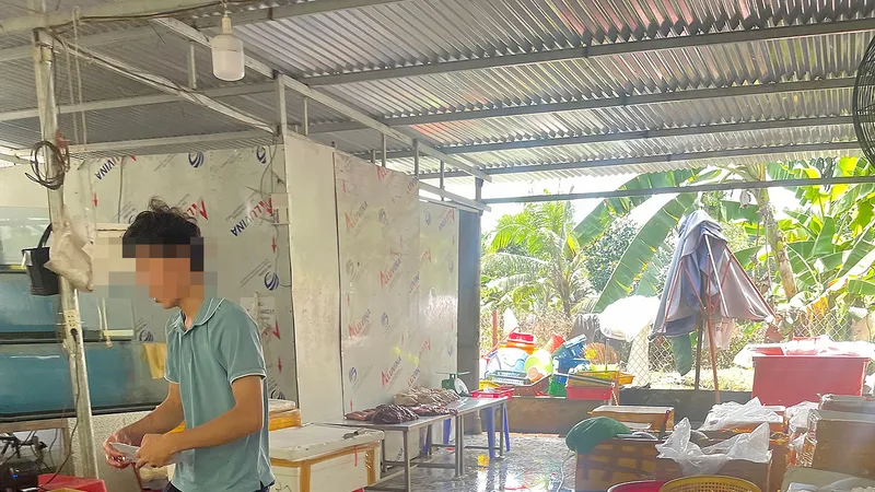 Một cơ sở bán thịt bò với giá rẻ tại TP Biên Hòa, Đồng Nai
