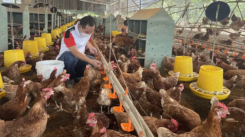 Vốn và thị trường: Trợ lực nền tảng cho doanh nghiệp