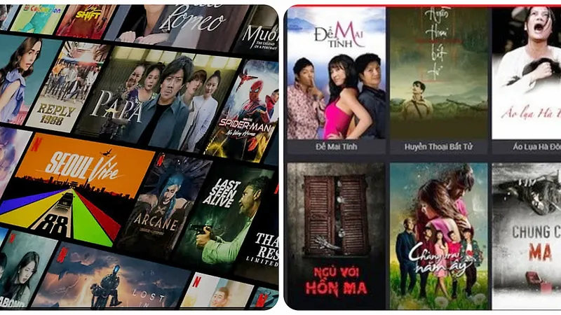 Theo Nghị định 71, phải thực hiện việc phân loại phim theo tiêu chí phân loại do Bộ VH-TT-DL quy định