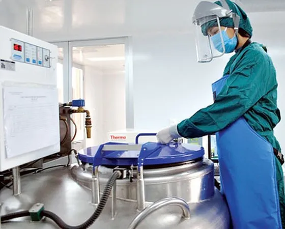 Đẩy mạnh nghiên cứu về ghép tế bào gốc để tạo máu trong y học