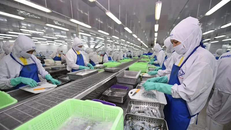 Một dây chuyền sản xuất tôm tại Fimex VN