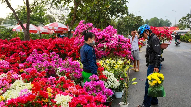 Tết an hòa