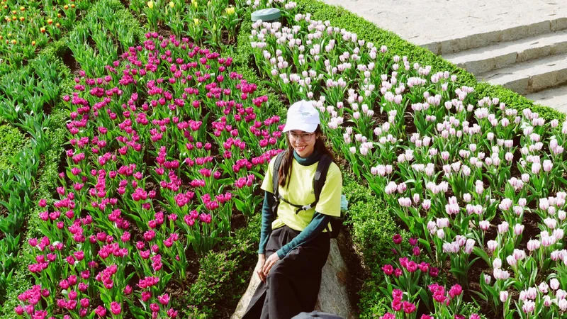 Du khách đổ lên núi Bà Đen check-in với hàng trăm ngàn cây tulip dịp tết