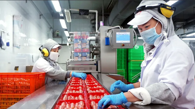 Giám sát hàng thực phẩm lưu thông trên thị trường 