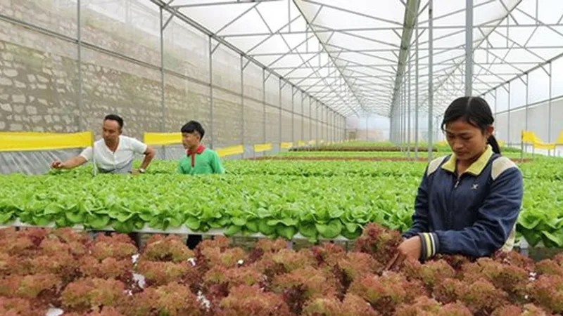 Phát huy truyền thống để chăm lo đời sống nông dân tốt hơn