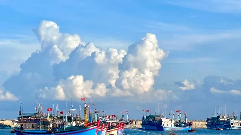 Vì Trường Sa xanh 