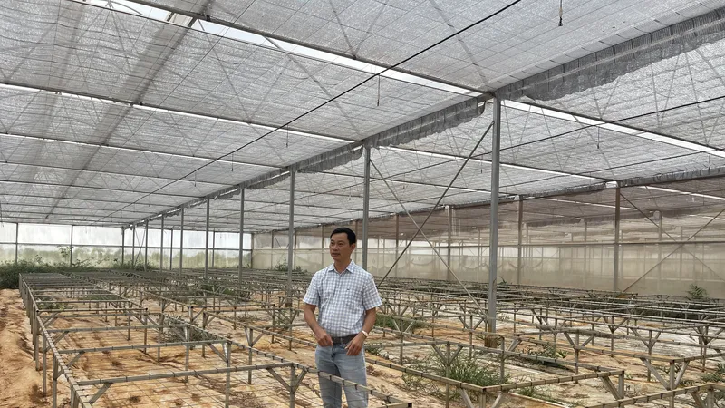 Trang trại nông nghiệp tiền tỷ bỏ hoang do sai pháp lý đầu tư