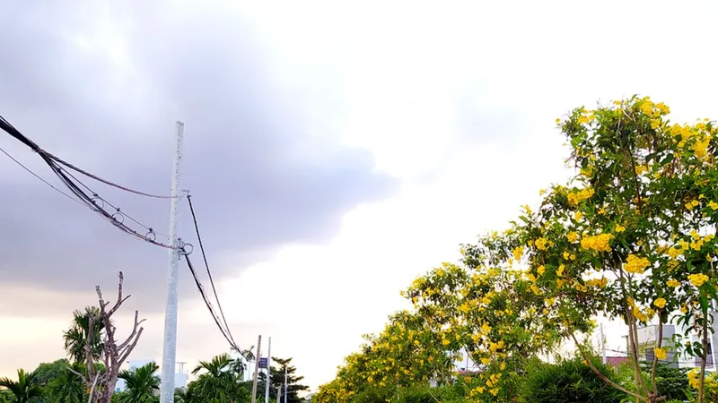 Đôi bờ kênh rực rỡ sắc hoa thuộc phường Thạnh Lộc, quận 12, TPHCM