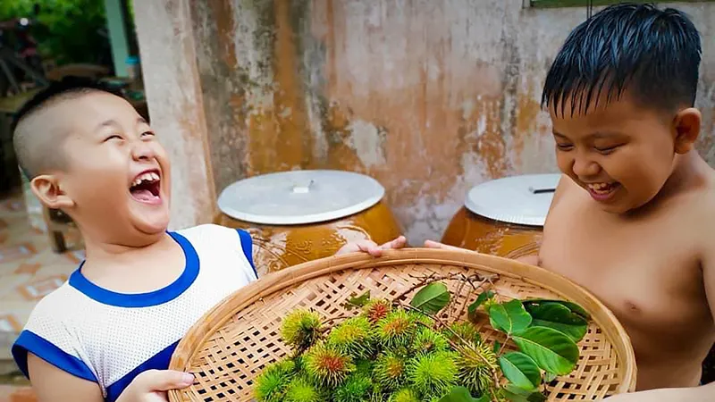 Mùa chôm chôm miệt vườn