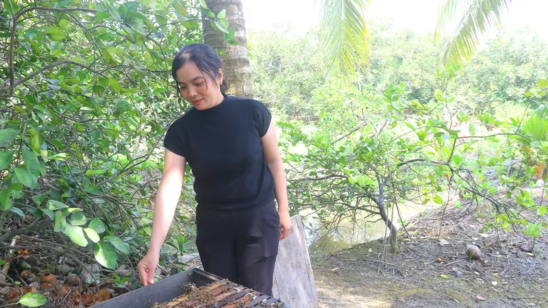 Luồng gió mới từ nông thôn mới kiểu mẫu