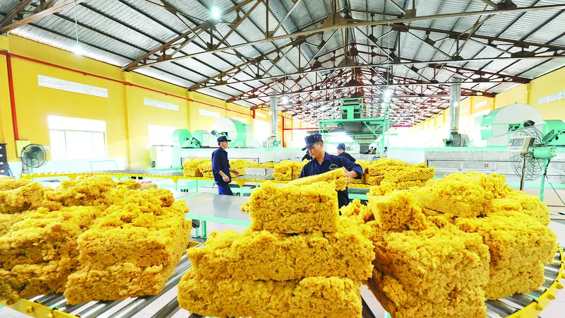 Doanh nghiệp mòn mỏi chờ hoàn thuế