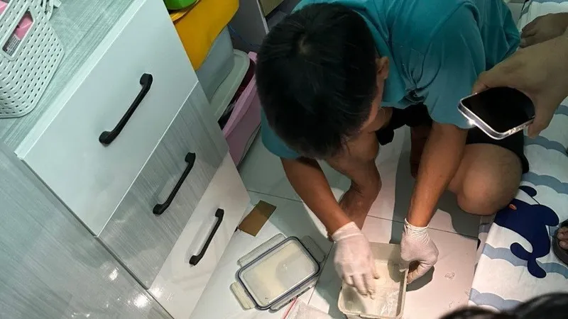 Lực lượng chức năng kiểm đếm tang vật