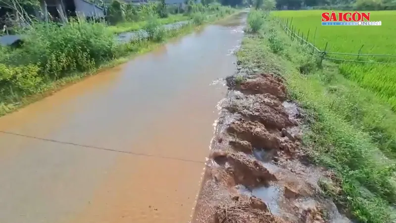 Quảng Bình: Cần nâng cấp tuyến chính kênh Rào Nan nhằm phát huy công trình thủy lợi 350 tỷ đồng