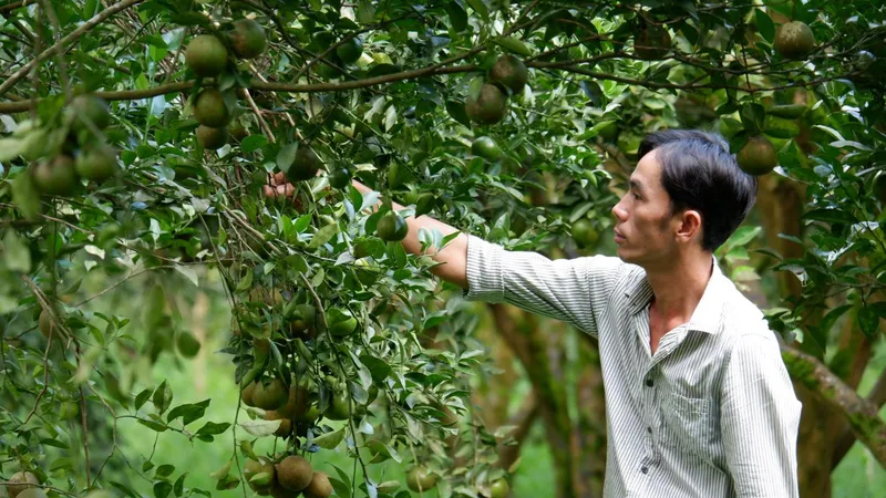 Chuyện đi “mở đất” trên lòng hồ Trị An - Bài 2: Khát vọng làm giàu ở vùng đất chiến khu xưa