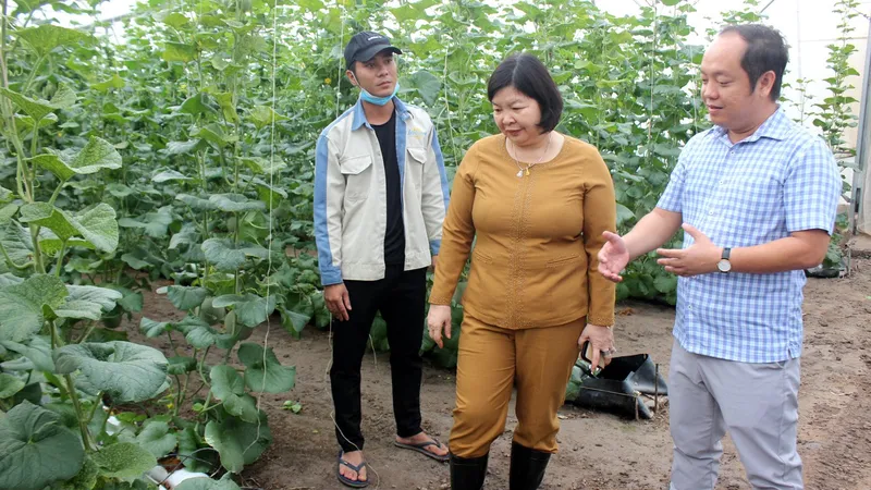 Phú Giáo phát triển du lịch canh nông