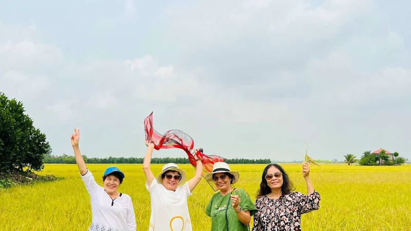 Tái hôn tuổi xế chiều