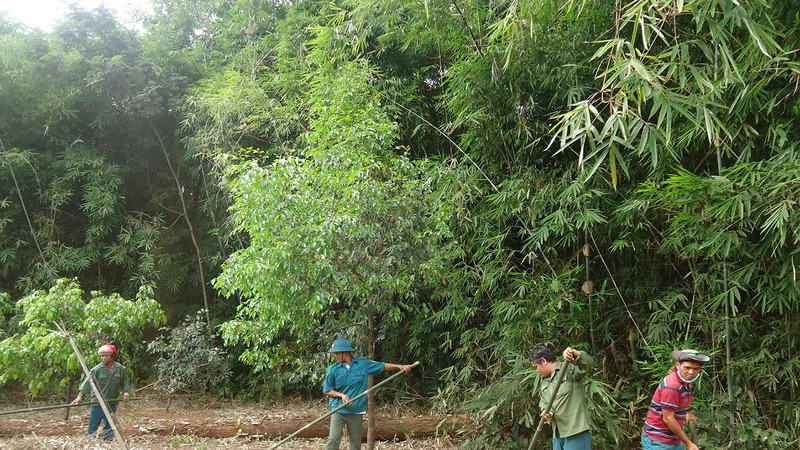 Cộng đồng nhận khoán rừng đặc dụng Vườn quốc gia Bù Gia Mập dọn ranh bảo vệ rừng