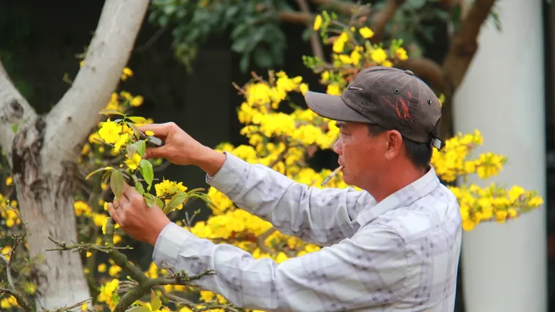 Hương vị tết xưa