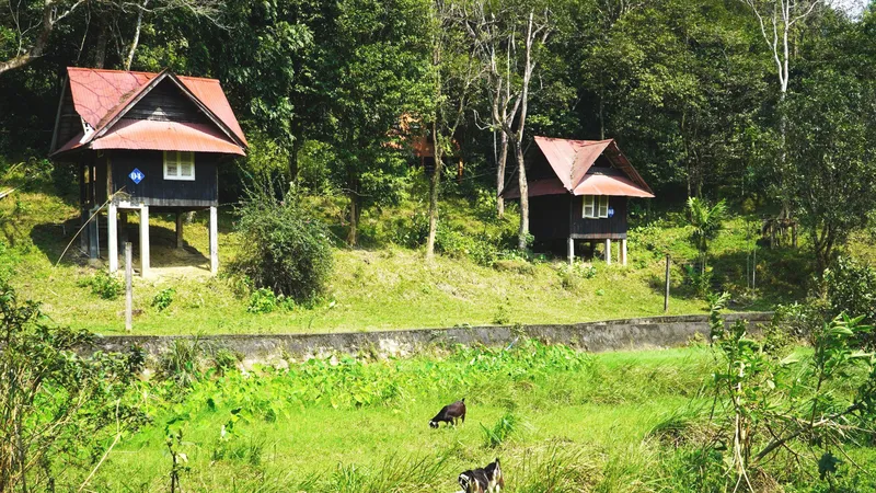Khu du lịch sinh thái nước khoáng nóng Sơn Kim bị bỏ hoang