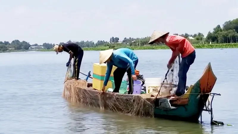 Bên dòng Vàm Cỏ
