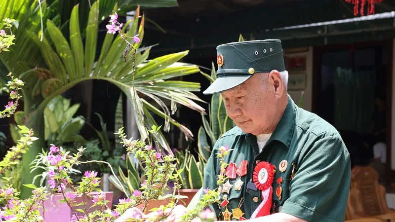 “Cây đại thụ” trong cộng đồng