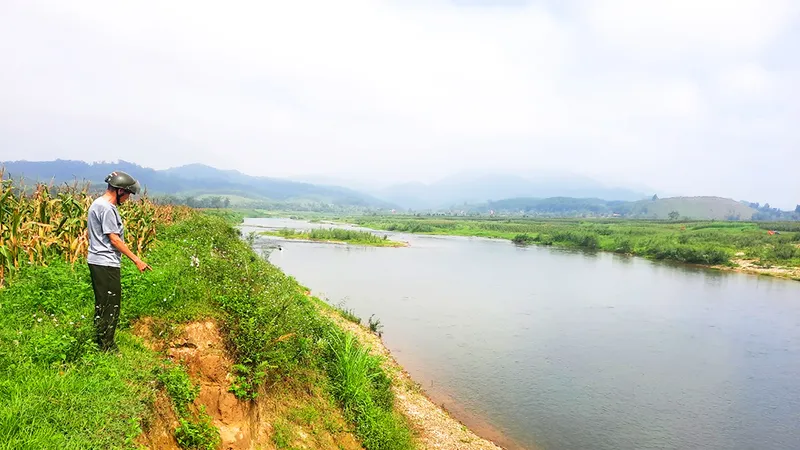 Bờ sông Ngàn Phố bị sạt lở nghiêm trọng