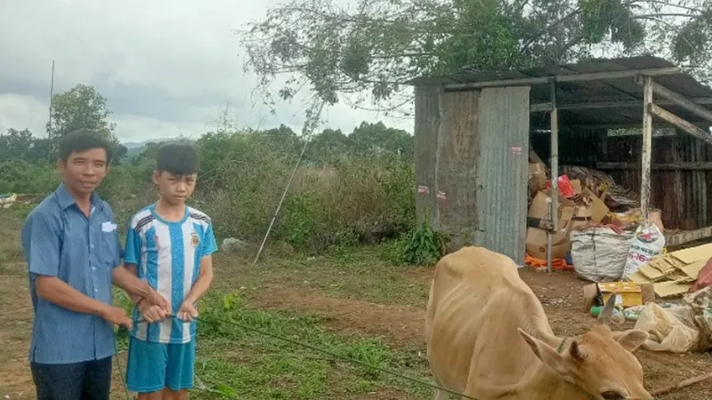 Ngay khi nhận tiền, xã Đăk Hring đã hướng dẫn gia đình em Phạm Văn Hải Dương mua bò về nuôi