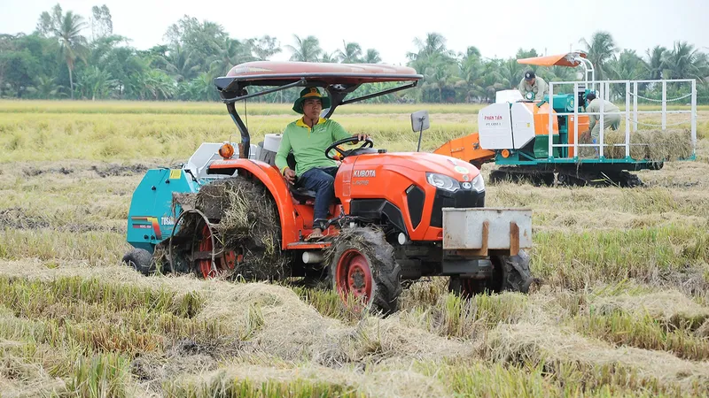 Kỳ vọng những ruộng lúa chất lượng cao đầu tiên ở miền Tây