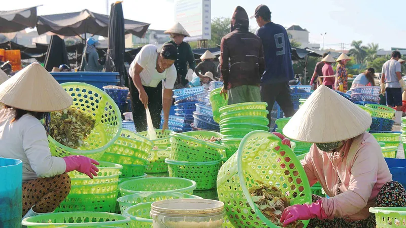 Ngư trường không thuận lợi nên ngư dân Bình Thuận chỉ khai thác được các loại hải sản ít có giá trị kinh tế