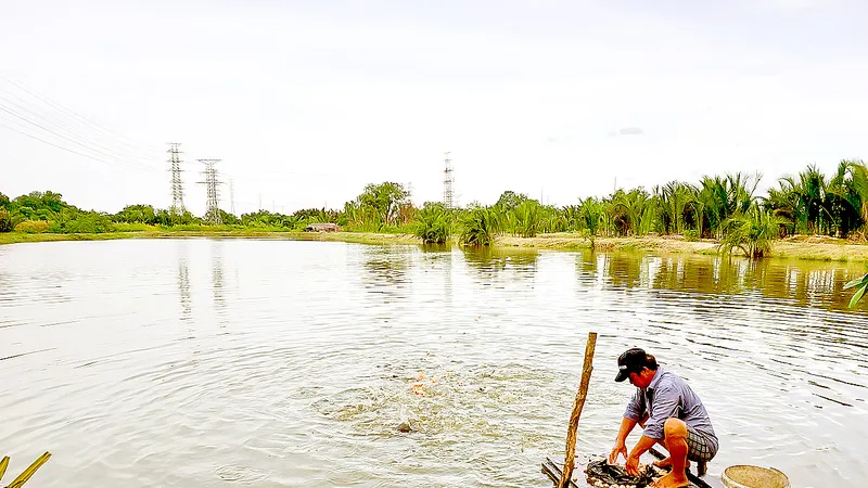 Phủ mạng lưới tài chính toàn diện: Thuận tiện cho người nghèo tiếp cận, đẩy lùi “tín dụng đen”