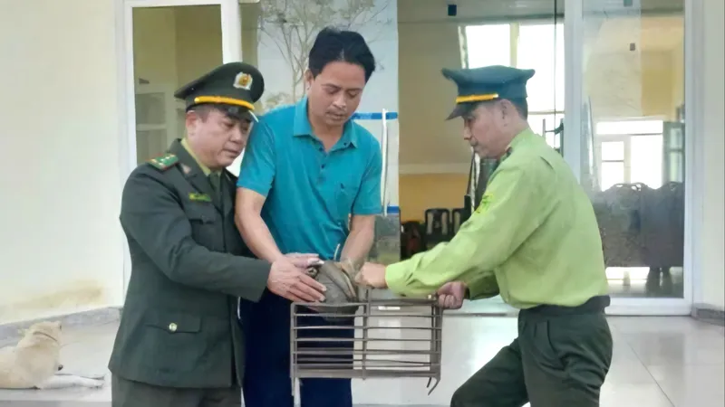Tiếp nhận tê tê Java đi lạc vào nhà điều hành hồ chứa 500 triệu mét khối nước