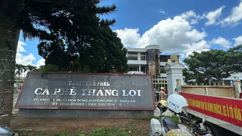 Đắk Lắk: Kiến nghị thu hồi 616ha đất cà phê của Công ty cà phê Thắng Lợi