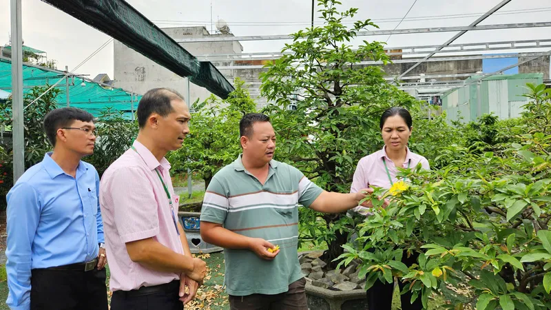 TPHCM nỗ lực hiện thực hóa tầm nhìn phát triển từ các nghị quyết đặc thù