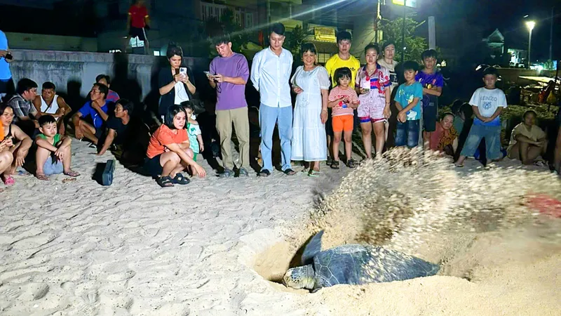 Kỳ tích “làng san hô”
